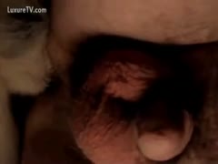 Close up movie of brute fucking dude's wazoo